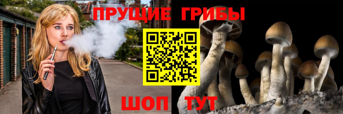 Галлюциногенные грибы Magic Shrooms Ливны